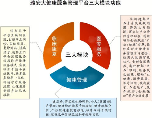 雅安大健康服务管理平台启动